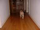 looking for trouble.JPG